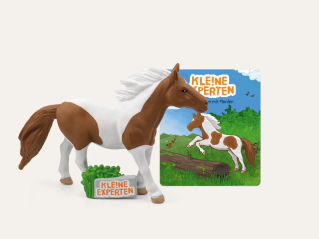 Kleine Experten Pferde 🐎