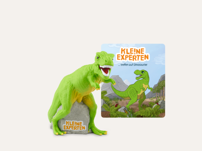 Kleine Experten Dinos 🦖